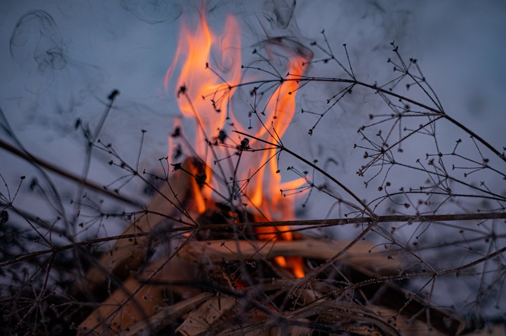 Фотография автора Алеся Кубаткина
