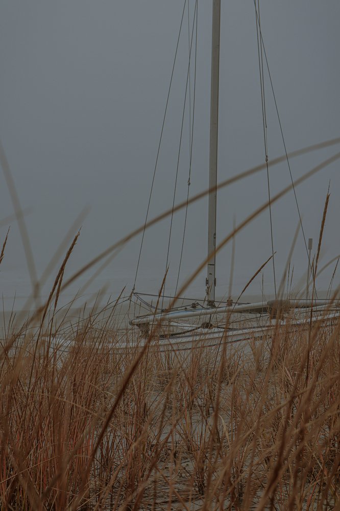 Photograph by Alisa Bryz-Gornia