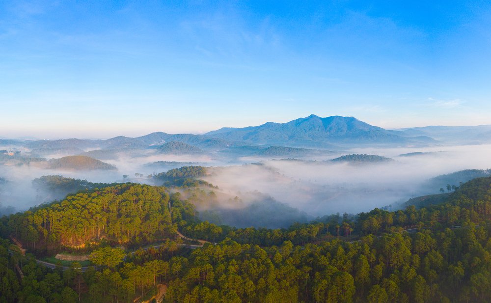 Photograph by Van Nguyen