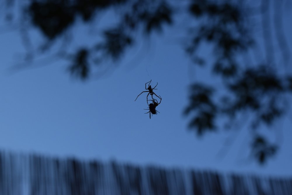 Photograph by Gabriella Sicurello