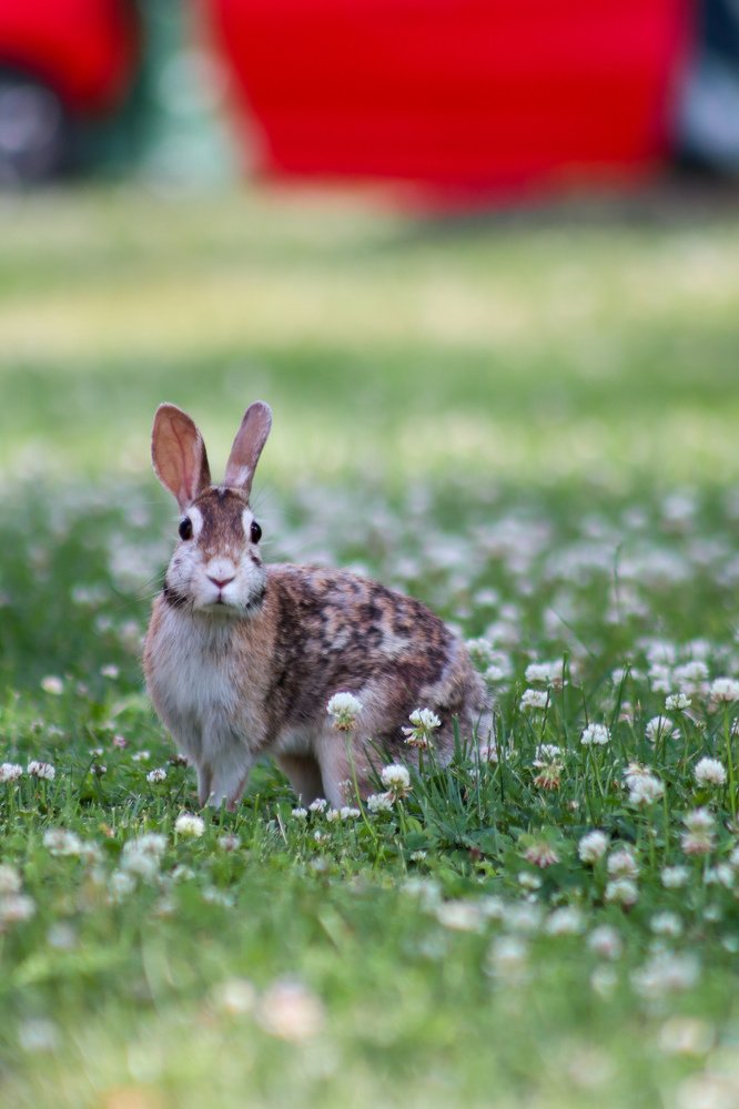 Photograph by Alisa Bryz-Gornia