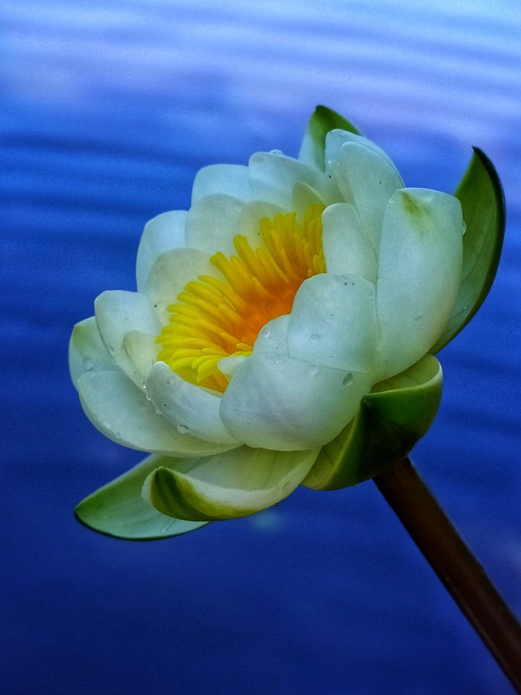 Photograph by Любовь Сухова