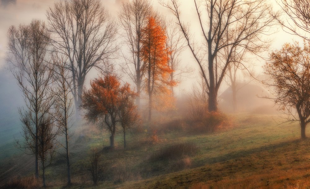 Photograph by Владимир Липецких