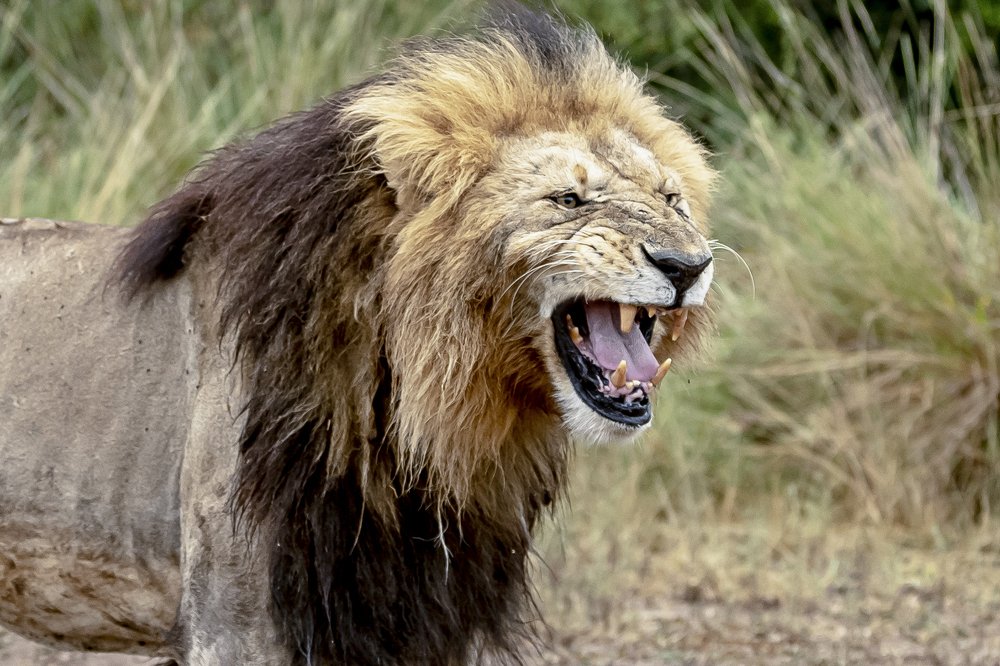 Photograph by PRASHANT VAIDYA