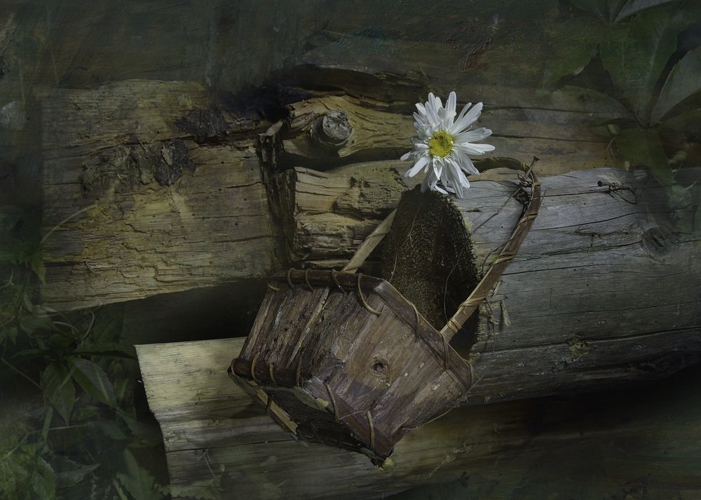 Photograph by Григорий Гурьев