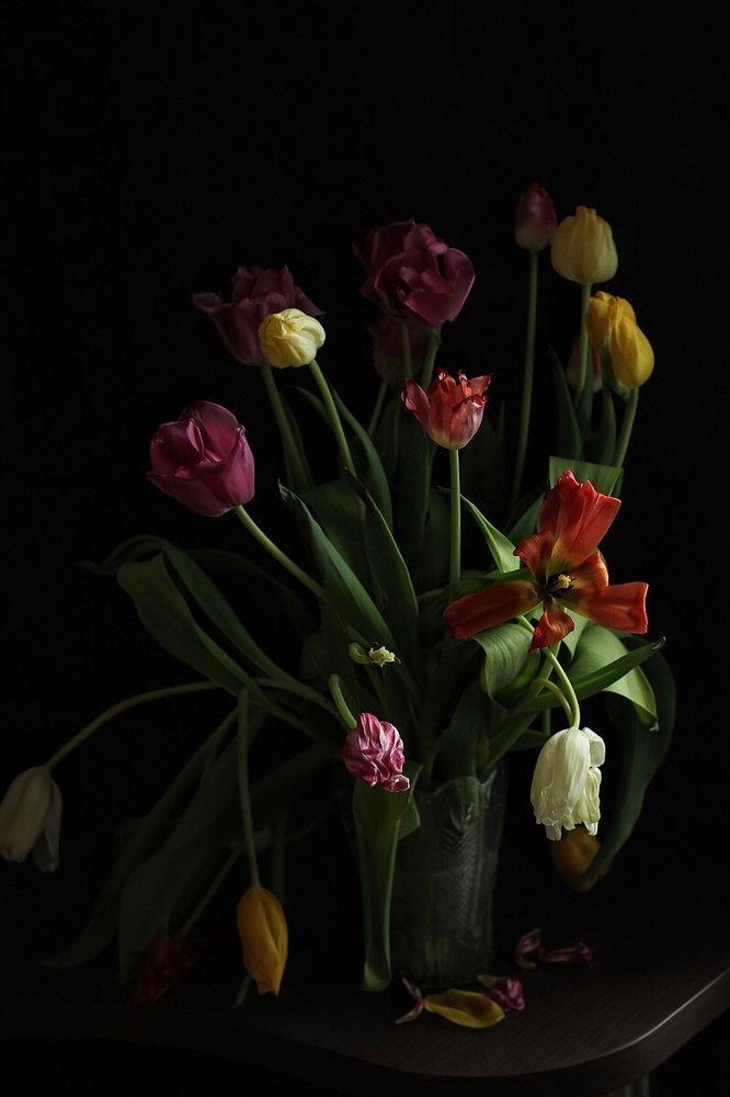 Photograph by Елена Фролова