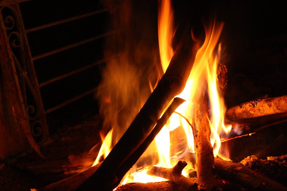 Photograph by Tatiana Barthem