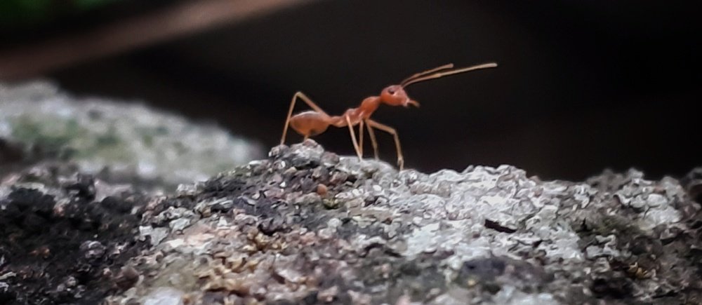 Photograph by Heri susanto