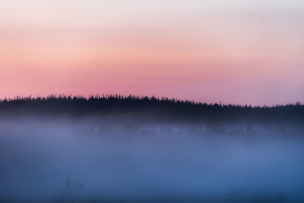 Photograph by Евгений Антонов