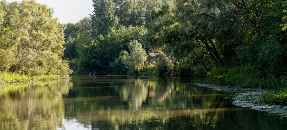 Утренняя прохлада