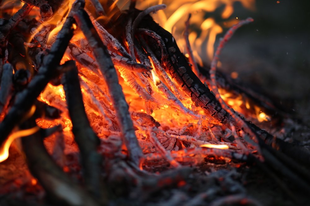 Photograph by Марина Алгаева