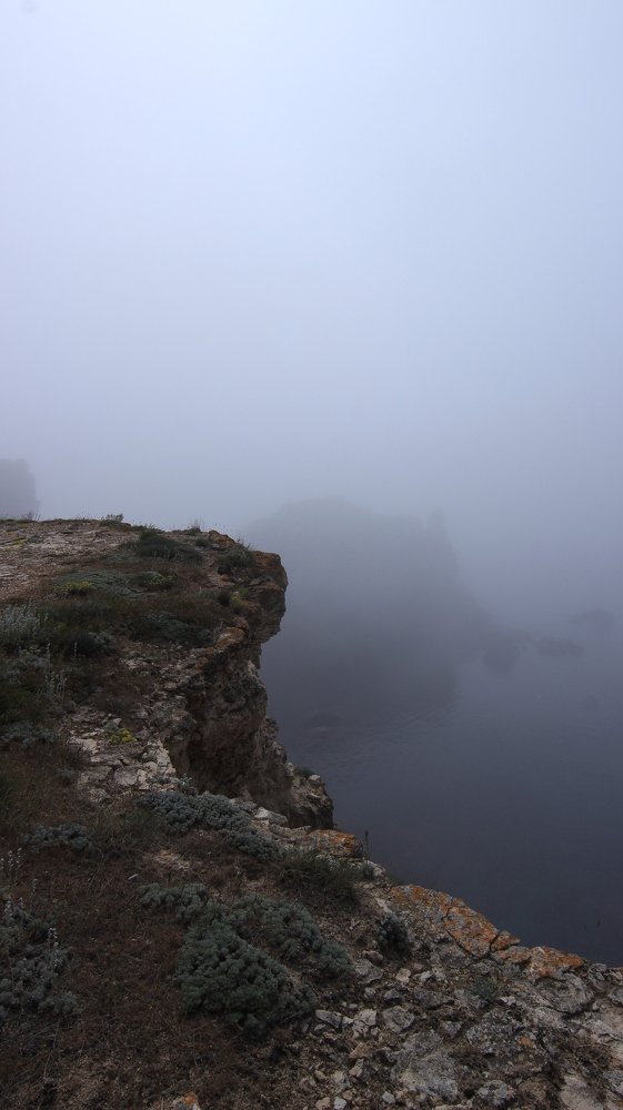 Photograph by Владимир Ясюкевич