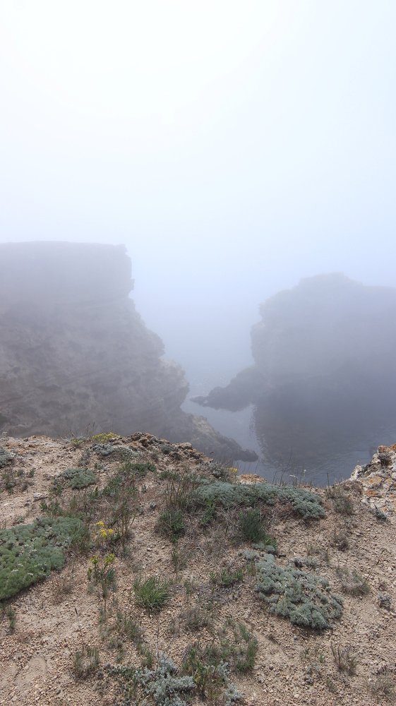 Photograph by Владимир Ясюкевич