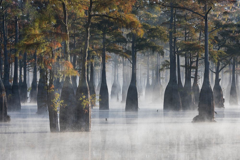 Photograph by Марина Маликова