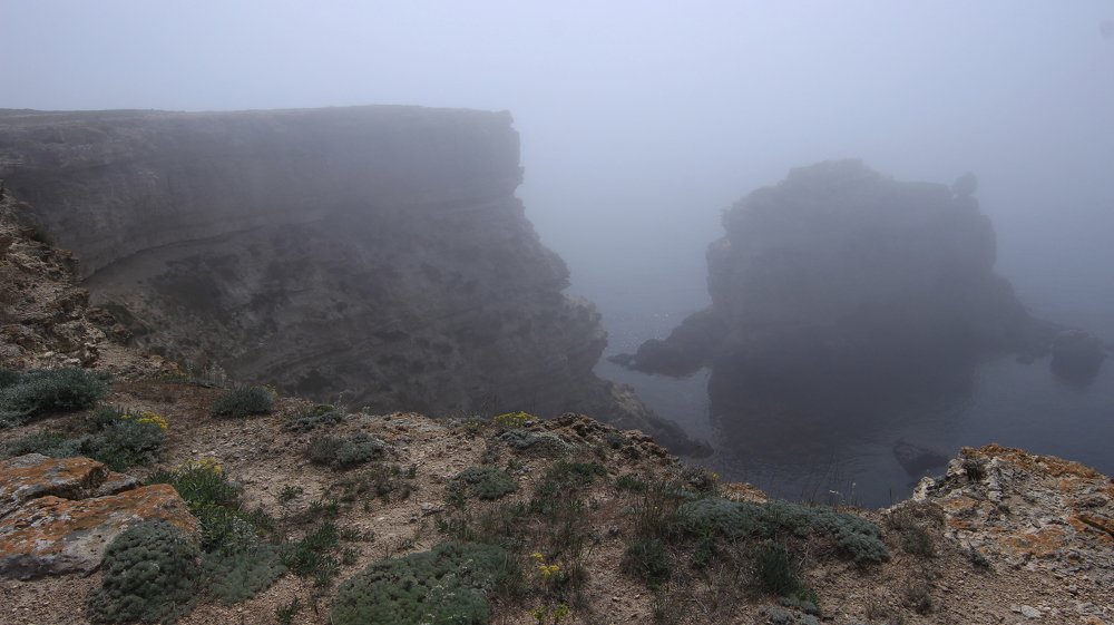 Photograph by Владимир Ясюкевич