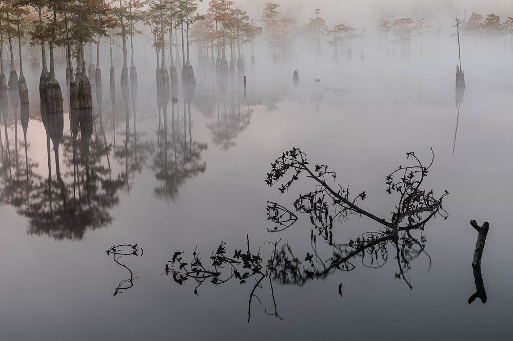 Photograph by Марина Маликова