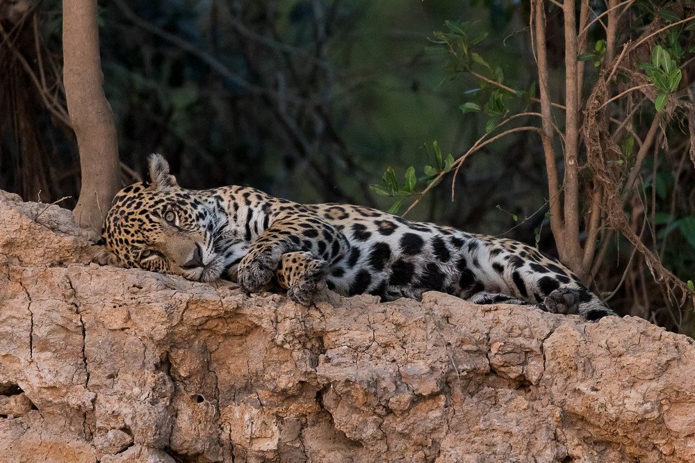 Photograph by Марина Маликова