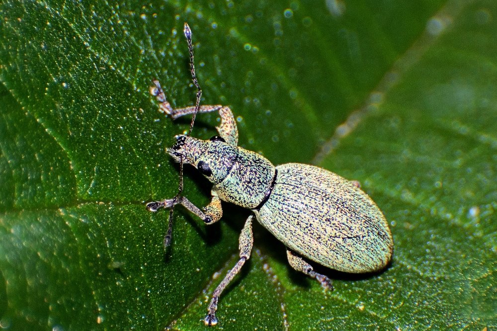 Photograph by маргиз Сафаров