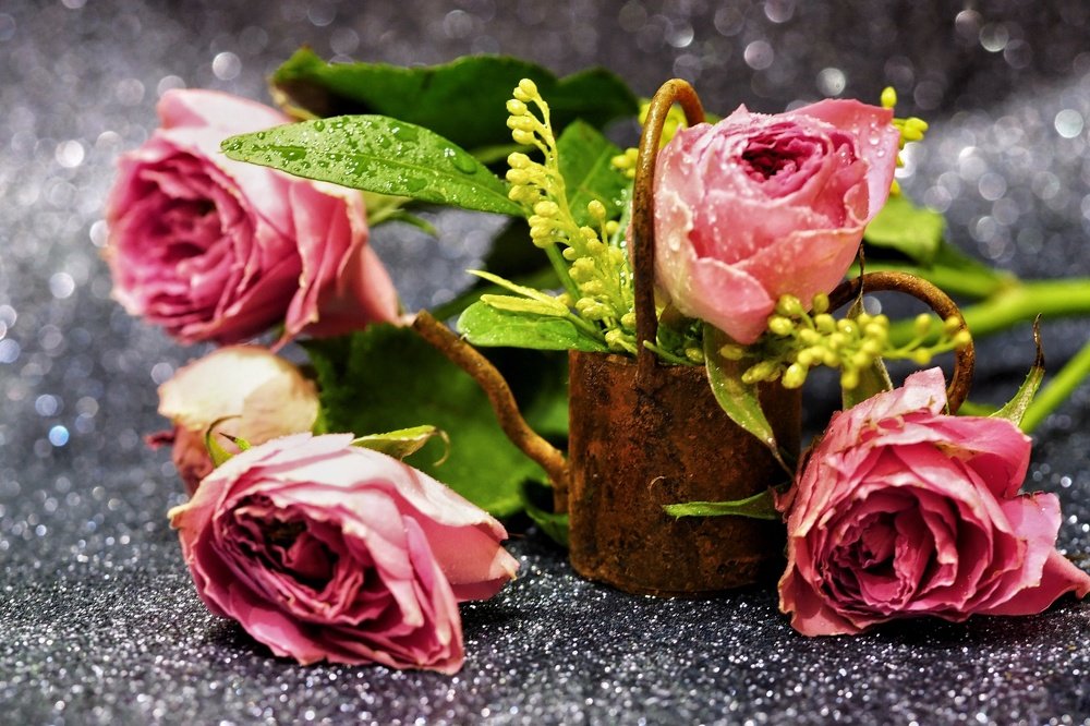 Photograph by Ирина