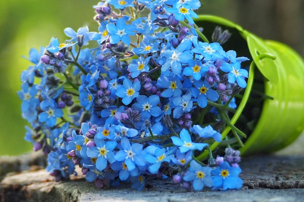 Photograph by Ирина