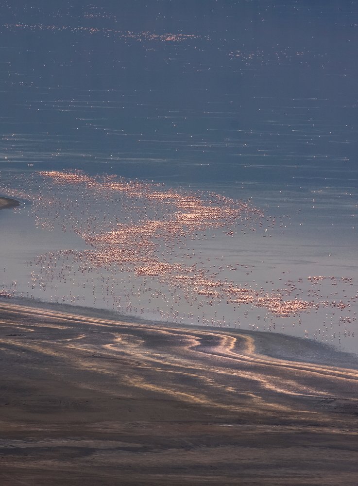 Photograph by THEODORE MATTAS