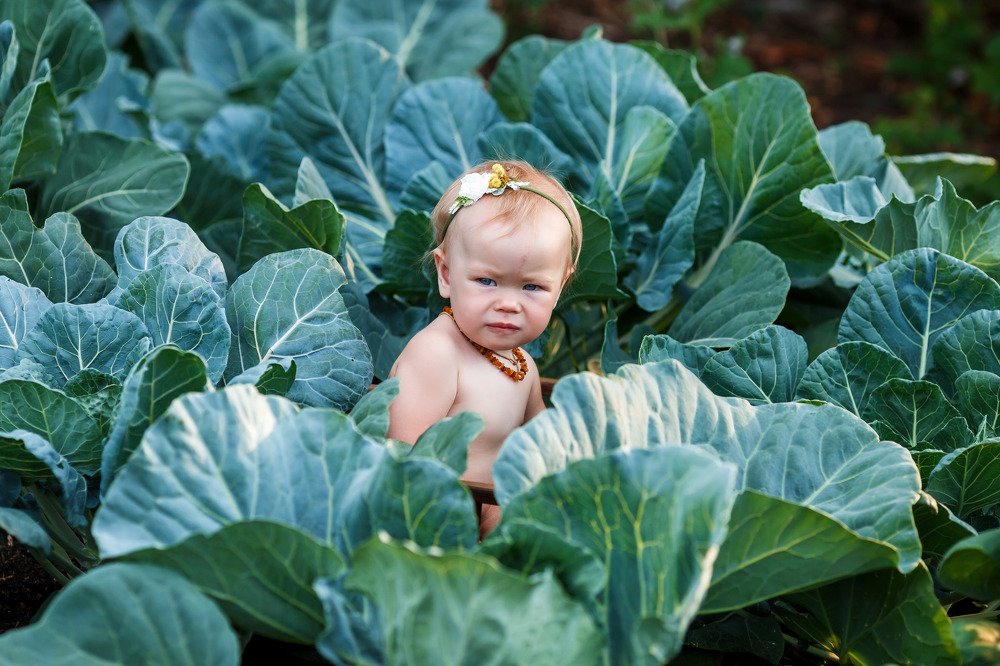 Photograph by Екатерина Низамутдинова