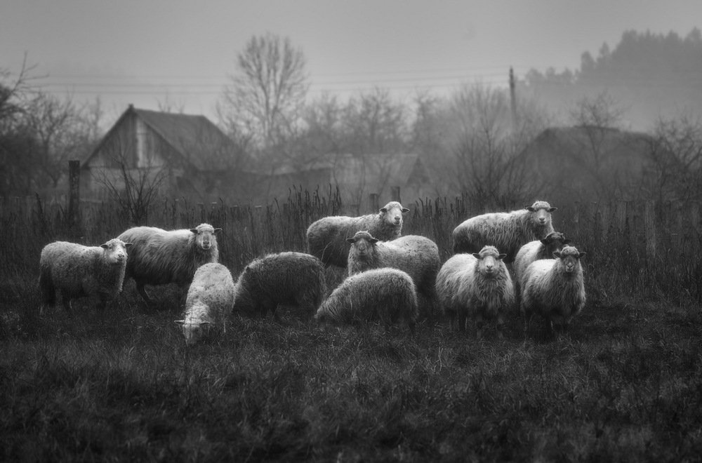 Групповой портрет