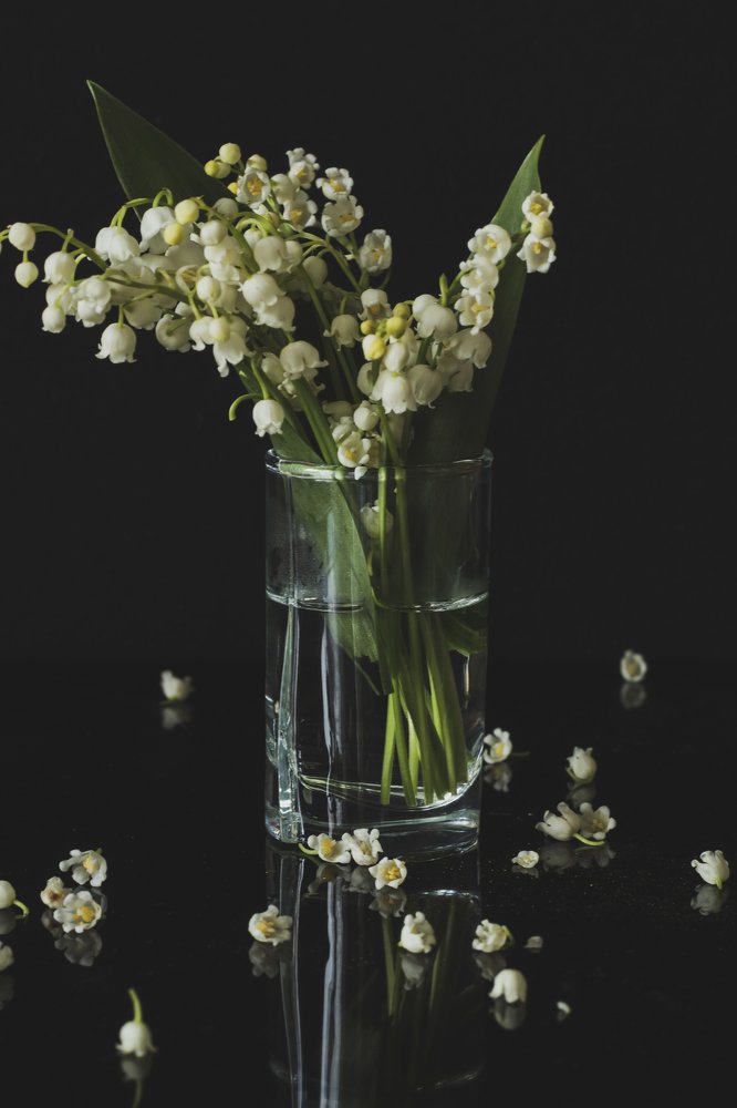 Фотография автора Ольга Никанович