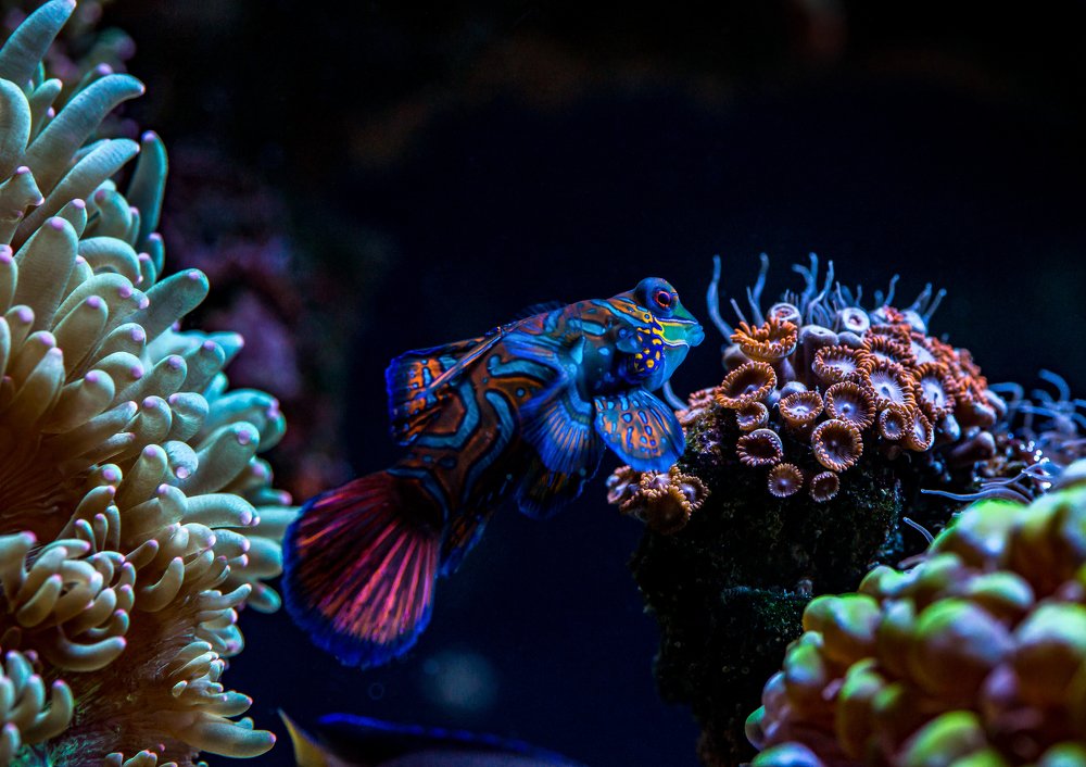 Photograph by Сергей Щербина