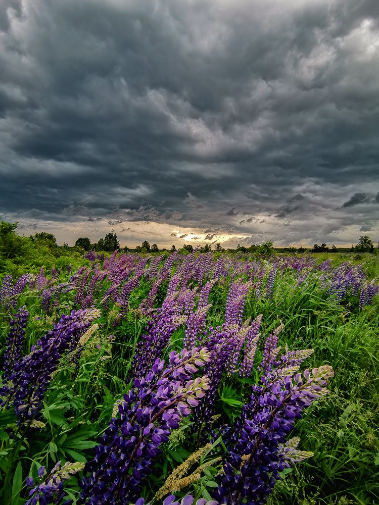 Photograph by Михаил Смирнов