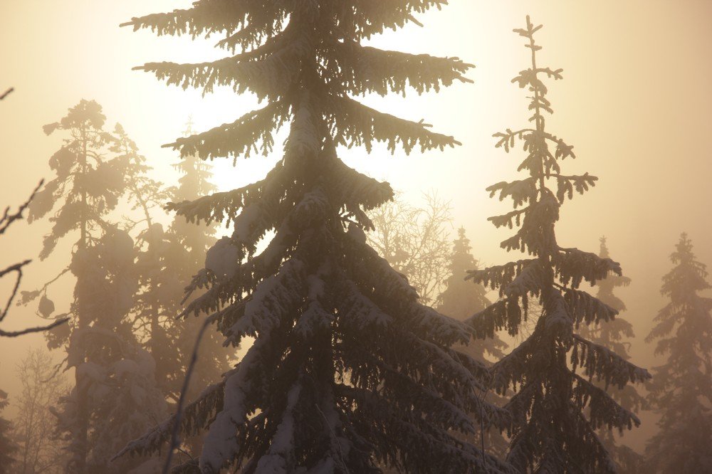 Photograph by Лада Денисова