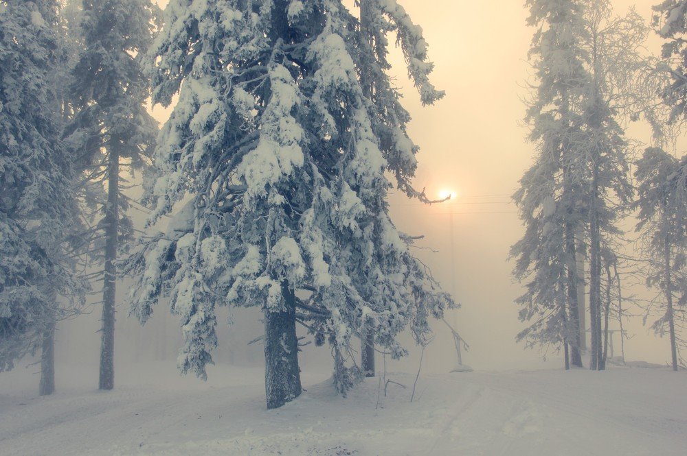 Photograph by Лада Денисова