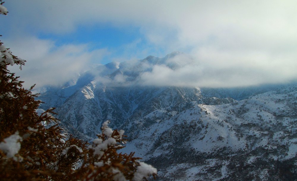 Photograph by Алтынбек Қартабай