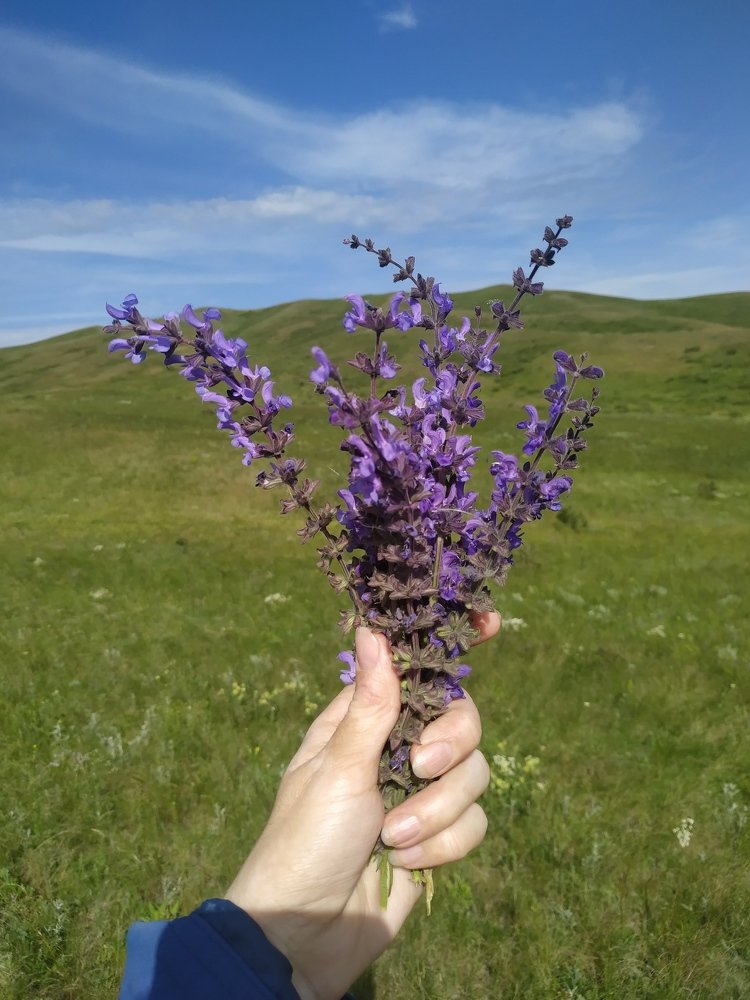 Photograph by Лиза