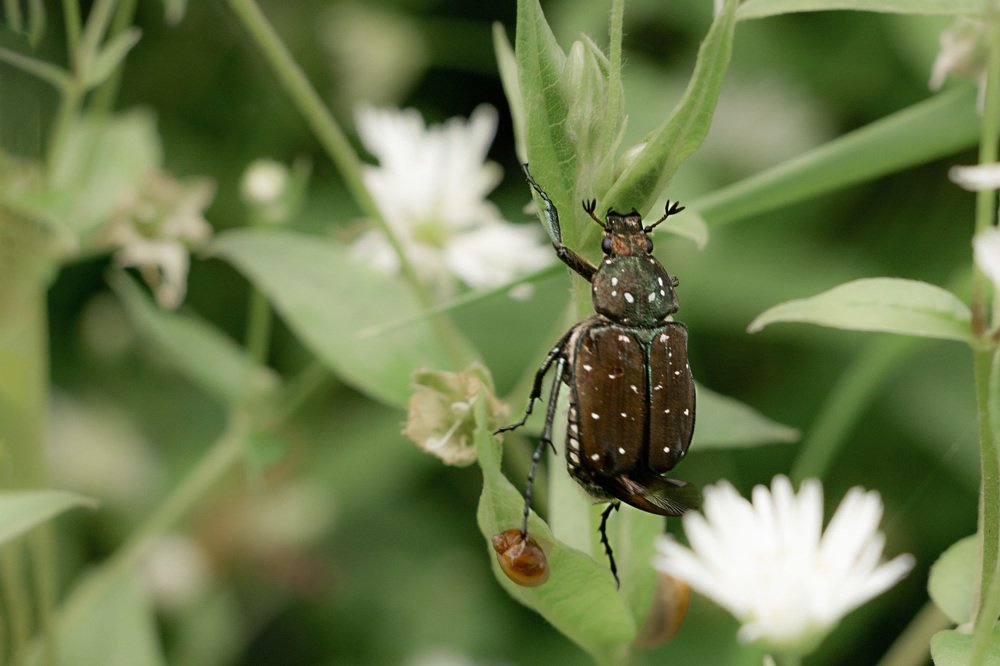 Photograph by Ольга Оверко