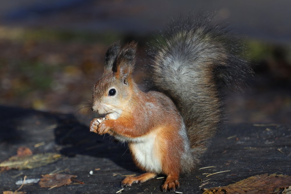 Photograph by Olga Oginskaya