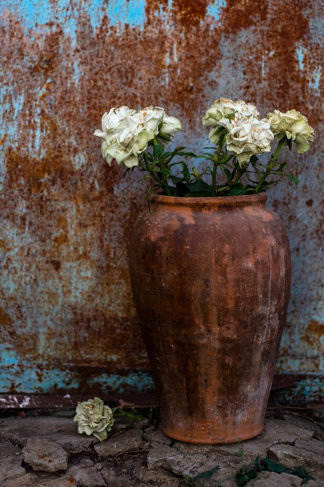 Photograph by Екатерина Кваша