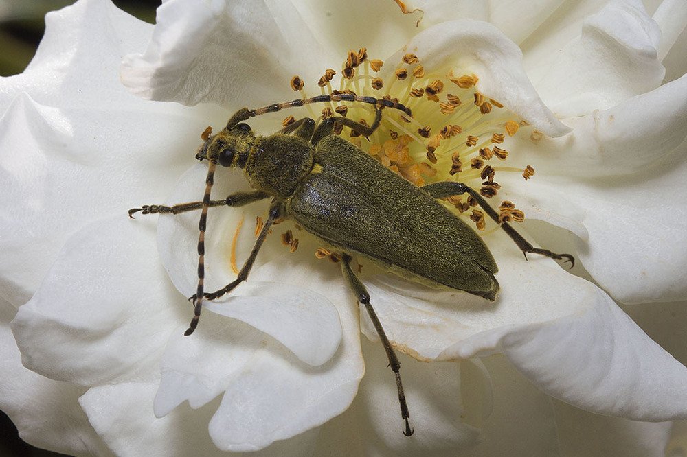 Фотография автора Марина Кулакова