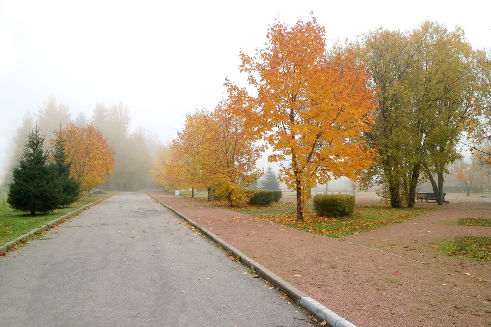 Early morning