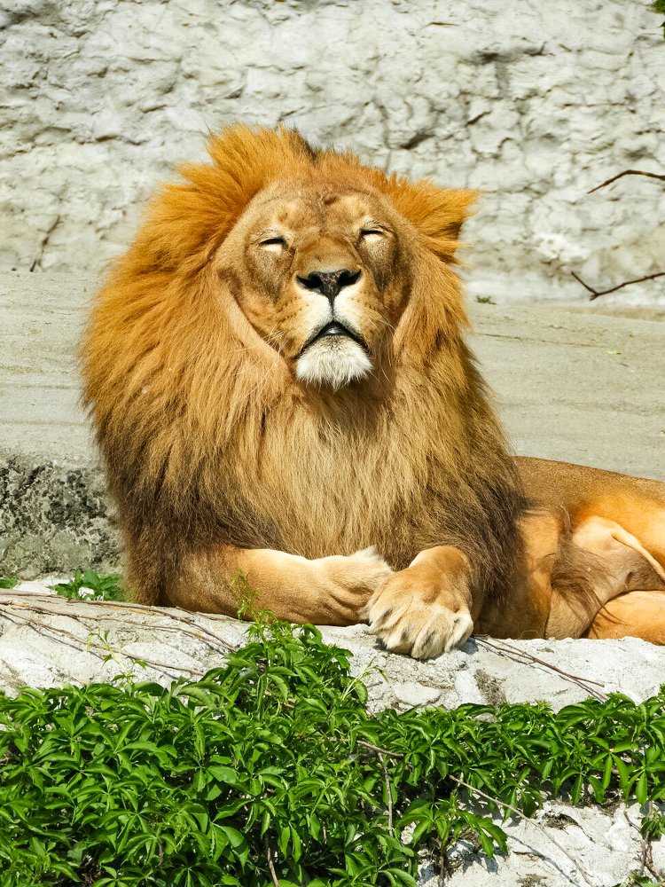 Photograph by Vitalii Neborak
