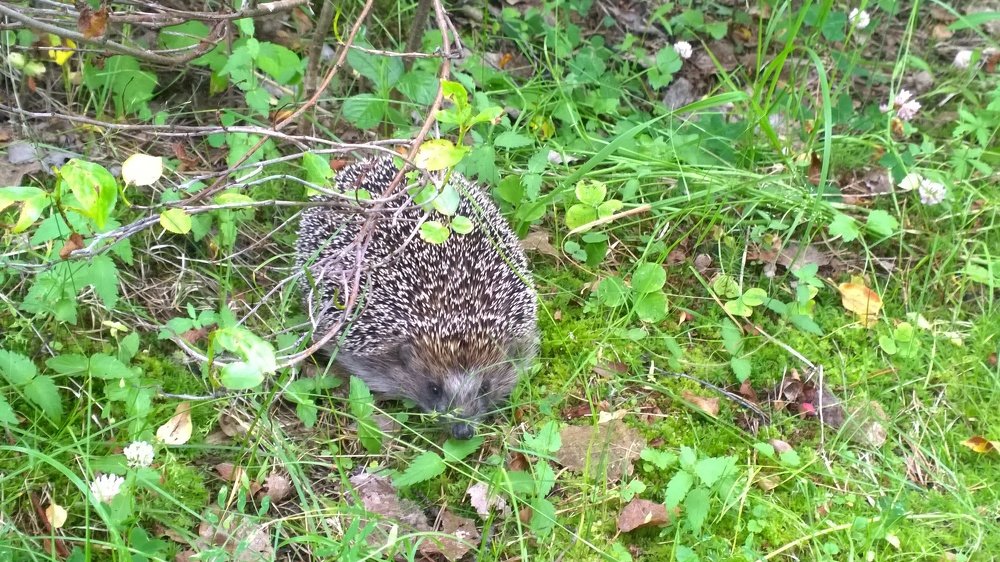 Photograph by Алексей Чурушкин