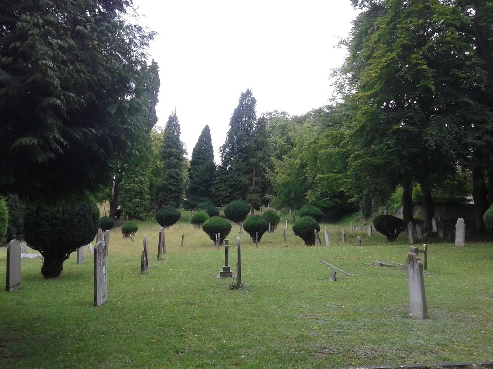 The Mount
