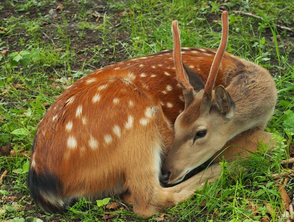 Photograph by Кристина Гареева