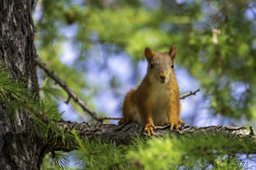 Photograph by Кадырова Марина