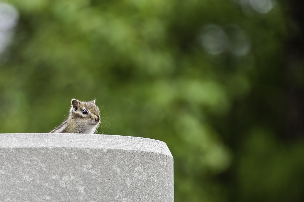 Photograph by Кадырова Марина