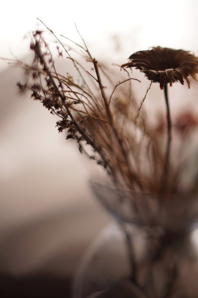 Photograph by Ольга Беспалько