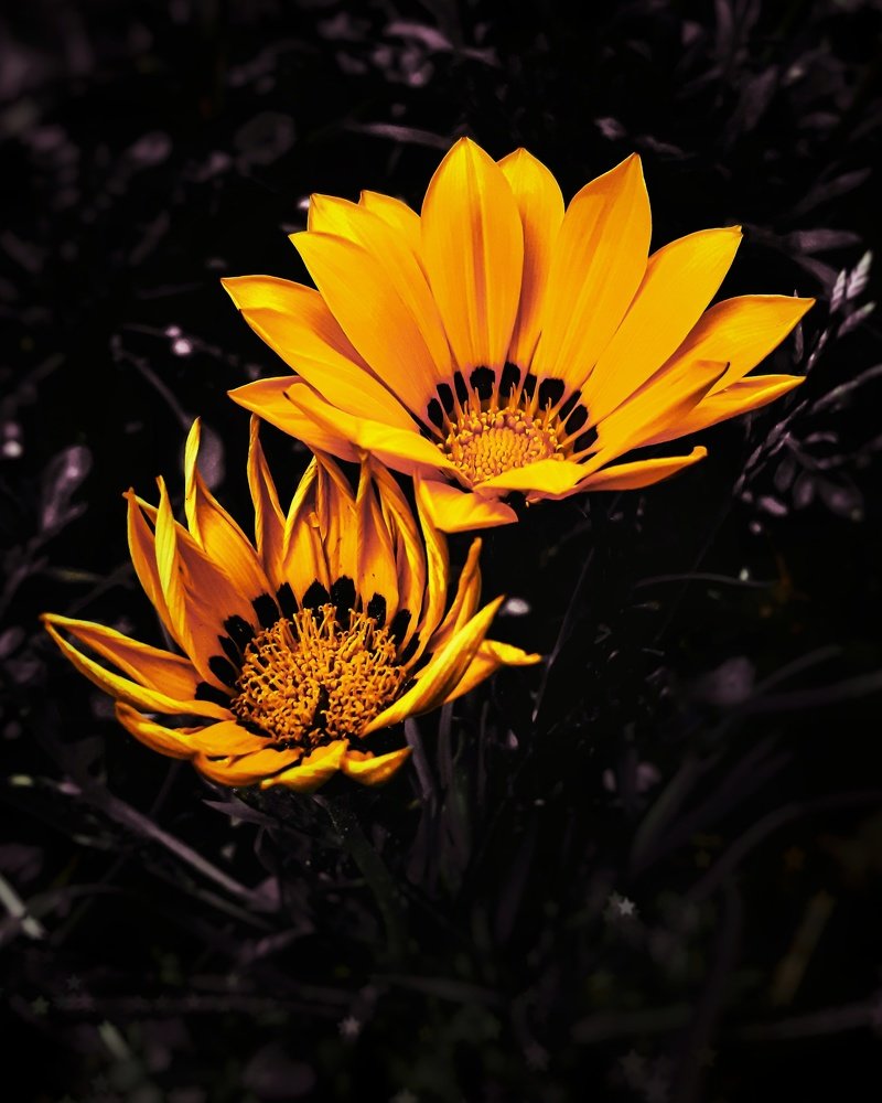 Photograph by Пётр Селетков