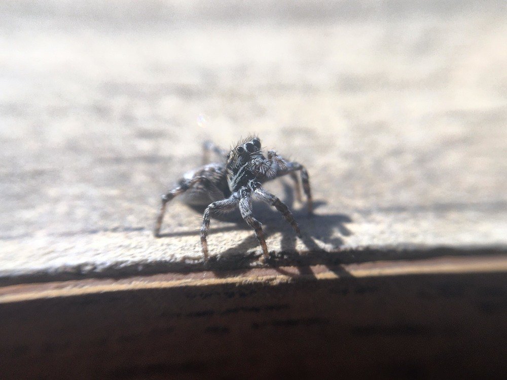 Photograph by Татьяна Галаева