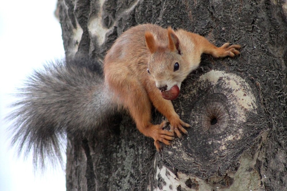 Photograph by Elena Khalizova