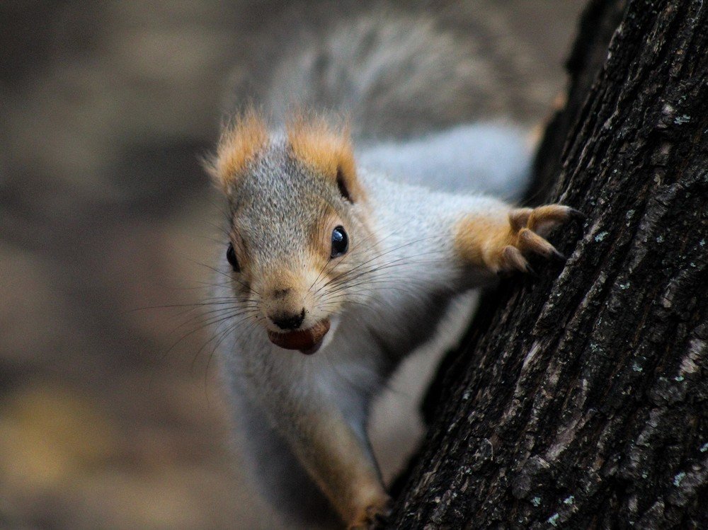 Photograph by Elena Khalizova